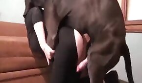 Cameras de sexo ao vivo casal doido dando uma boa metida gostosa de ladinho - sexo de cachorro,sexo foda animal